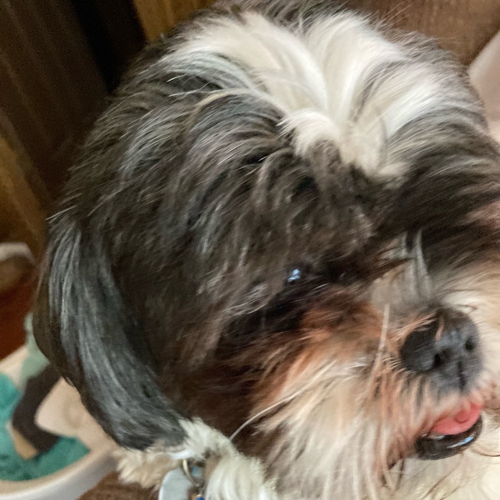 Meet your Posher, Hope